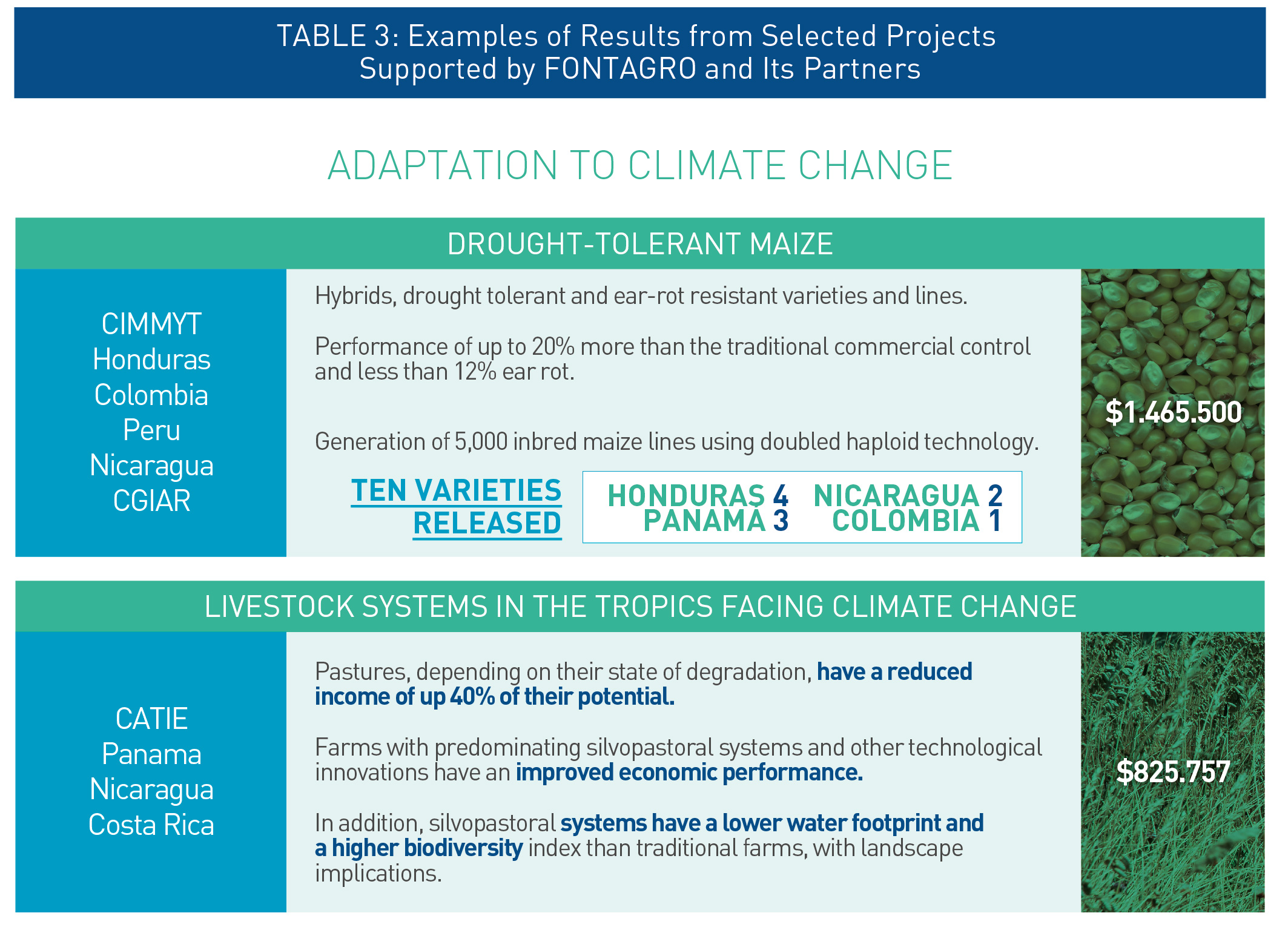climate-change-adaptation