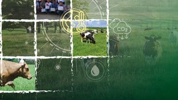 Technical cooperation card image