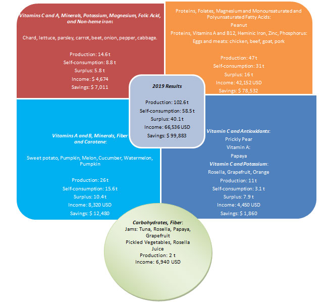 Foods produced, grouped by main nutrients (2019)