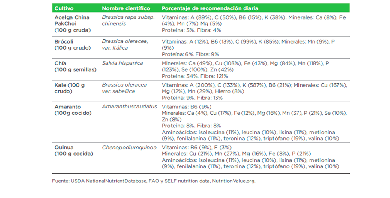 Valor nutricional de cultivos producidos por ASOARCE