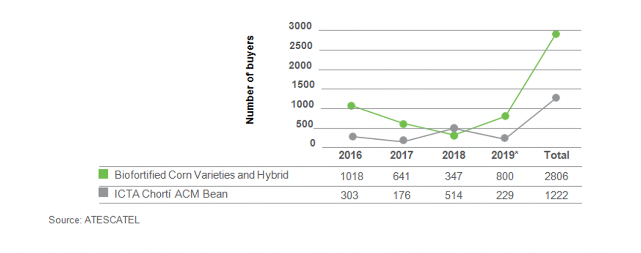 Numbers of buyers of biofortified bean and corn seeds produced by ATESCATEL