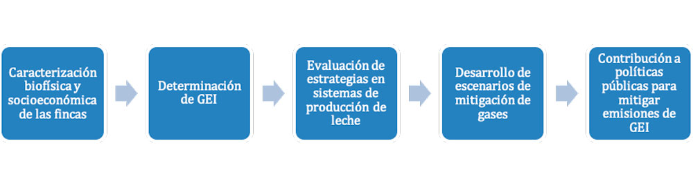 Mejoramiento de los Sistemas de Producción Animal con Énfasis en la  Ganadería de Leche en la Región Andina dentro del Contexto de Cambio  Climático