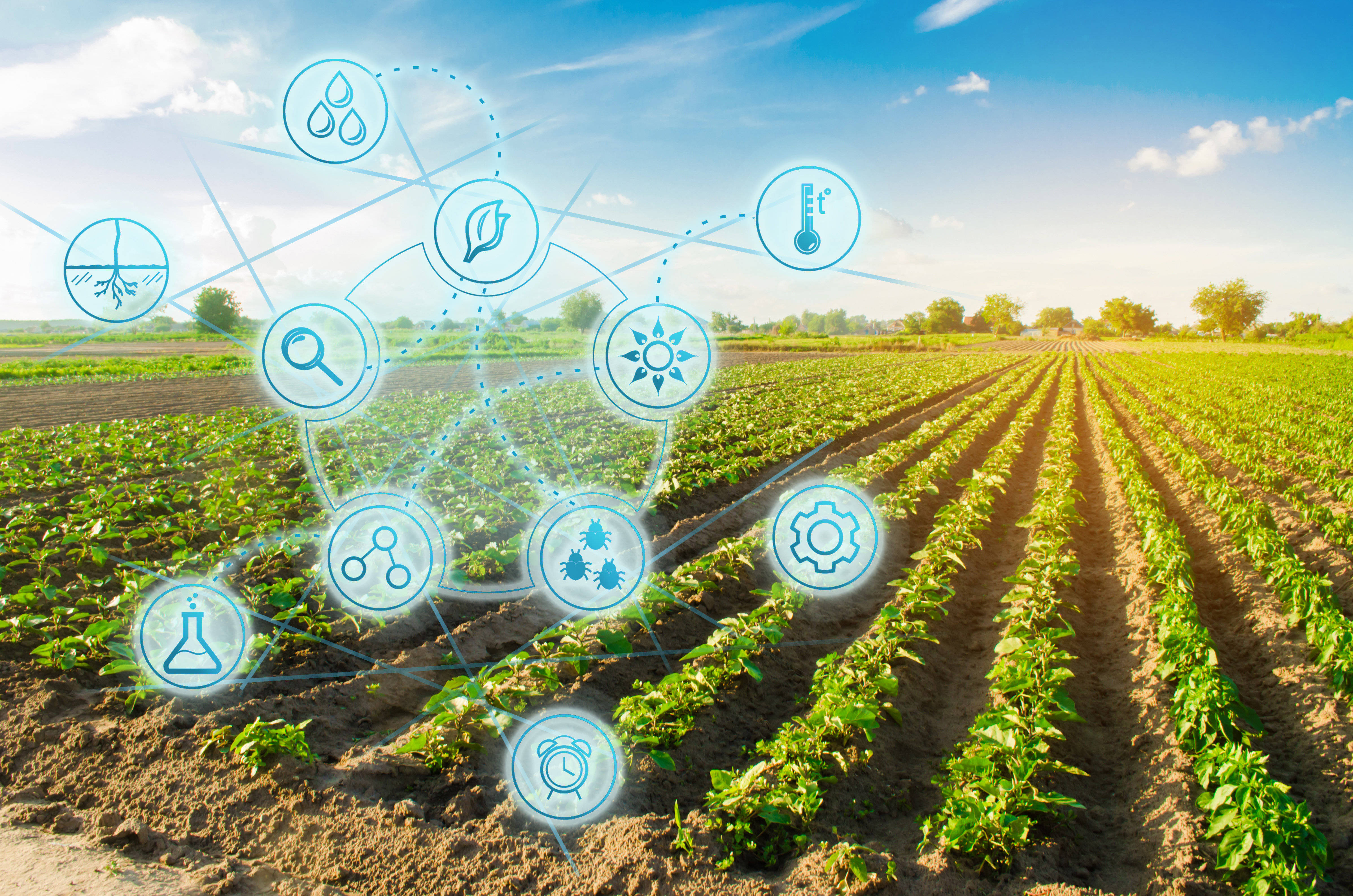 Поле value. Современные технологии в сельском хозяйстве. IOT-технологии в сельском хозяйстве. Информационные технологии в сельском хозяйстве. Цифровизация сельского хозяйства.