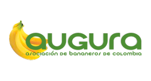 AUGURA