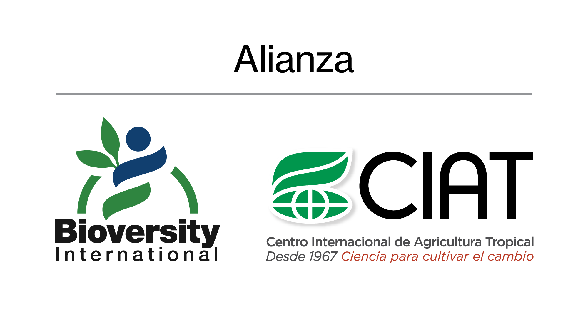 Alianza Internacional Bioversity - CIAT