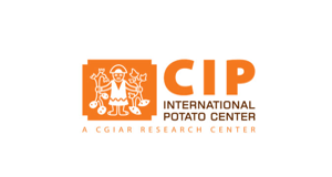 CIP