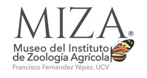 MIZA - UCV