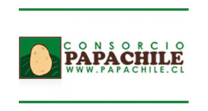 Consorcio Papa