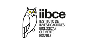 IIBCE